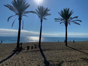 Puerto Banus 3